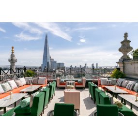 copy-of-wagtail-with-views-of-the-shard-credit-justin-de-souza